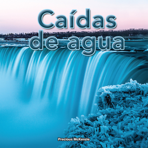 Cover image for book Caídas de agua