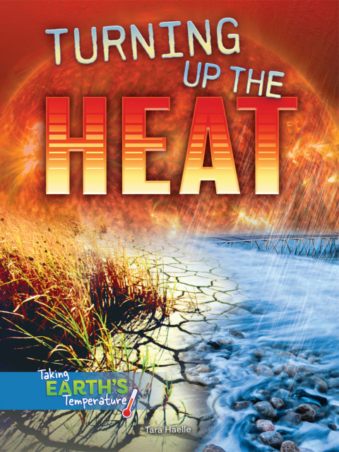 Cover image for book Turning Up the Heat