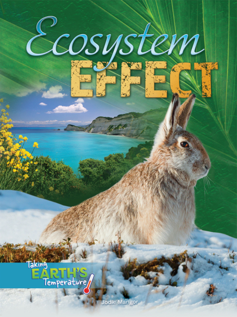 Cover image for book Ecosystem Effect