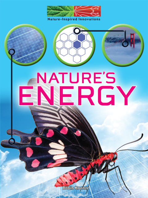 Cover image for book Nature's Energy