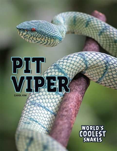 Cover image for book Pit Viper