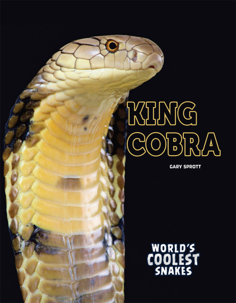 Cover image for book King Cobra