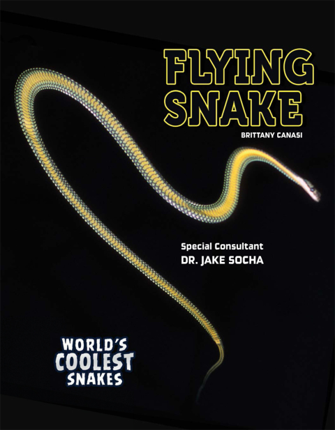 Cover image for book Flying Snake