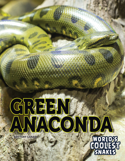 Cover image for book Green Anaconda