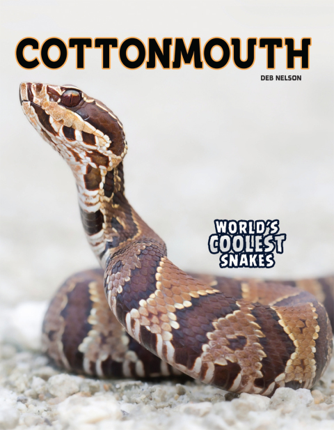 Cover image for book Cottonmouth