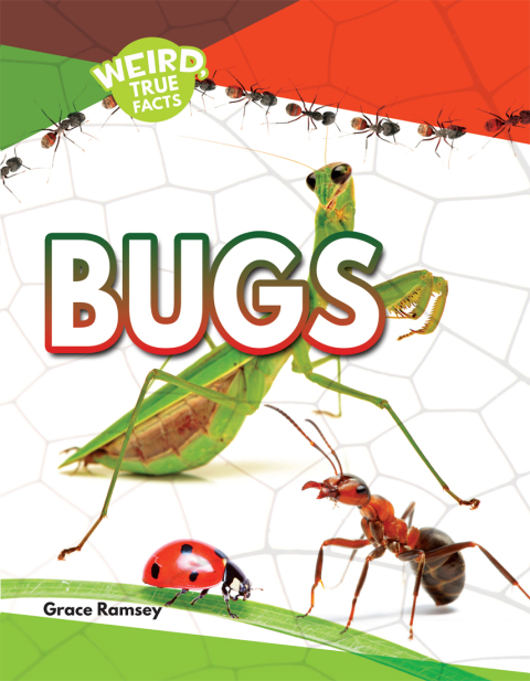 Cover image for book Bugs