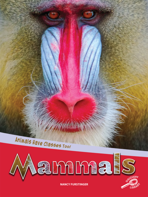 Cover image for book Animals Have Classes Too! Mammals