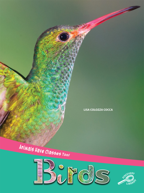 Cover image for book Animals Have Classes Too! Birds