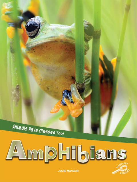 Cover image for book Animals Have Classes Too! Amphibians