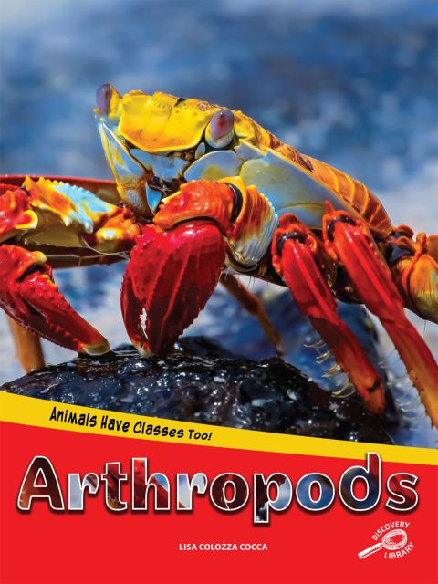 Cover image for book Animals Have Classes Too! Arthropods