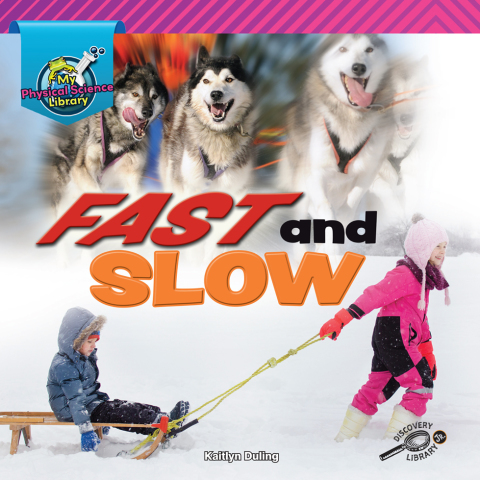 Cover image for book Fast and Slow