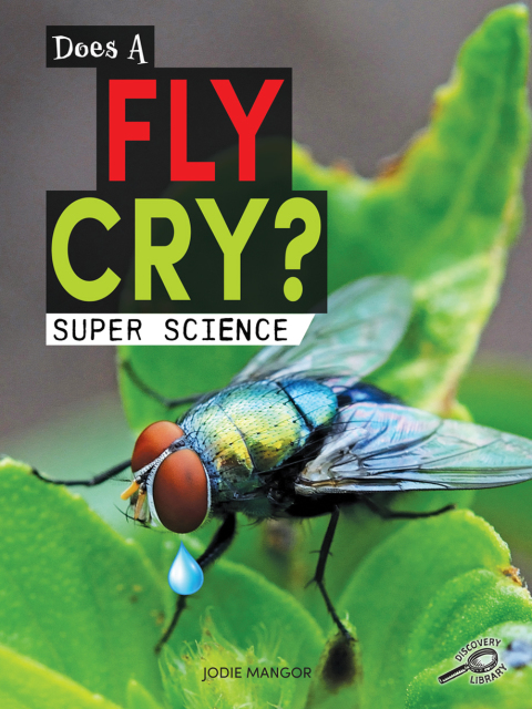 Cover image for book Does a Fly Cry?