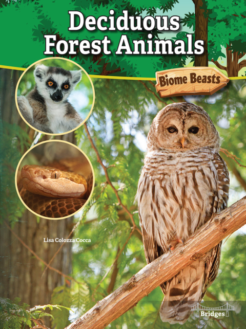 Cover image for book Deciduous Forest Animals