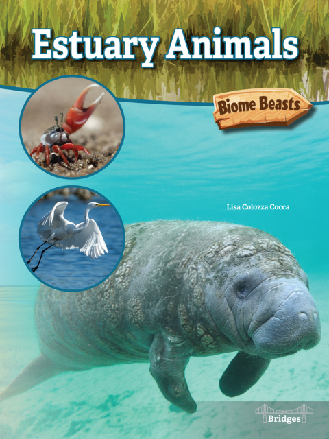 Cover image for book Estuary Animals
