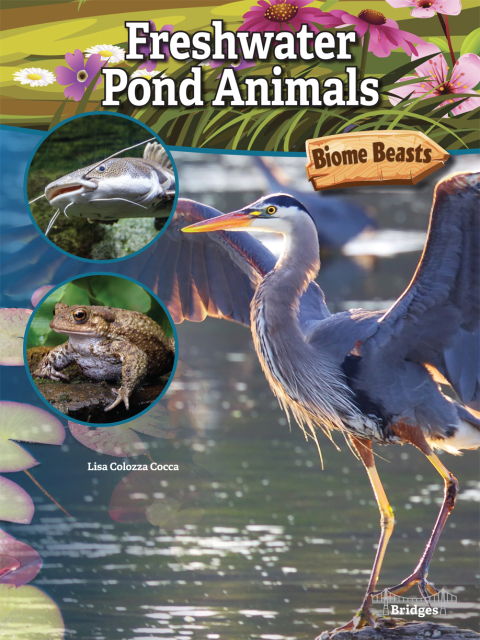 Cover image for book Freshwater Pond Animals