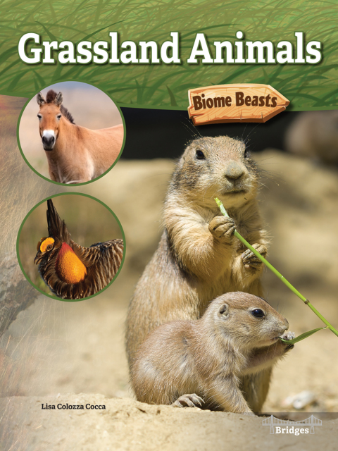 Cover image for book Grassland Animals