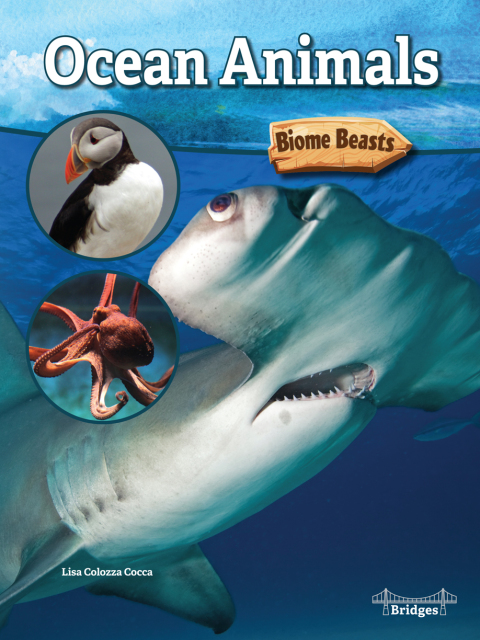 Cover image for book Ocean Animals