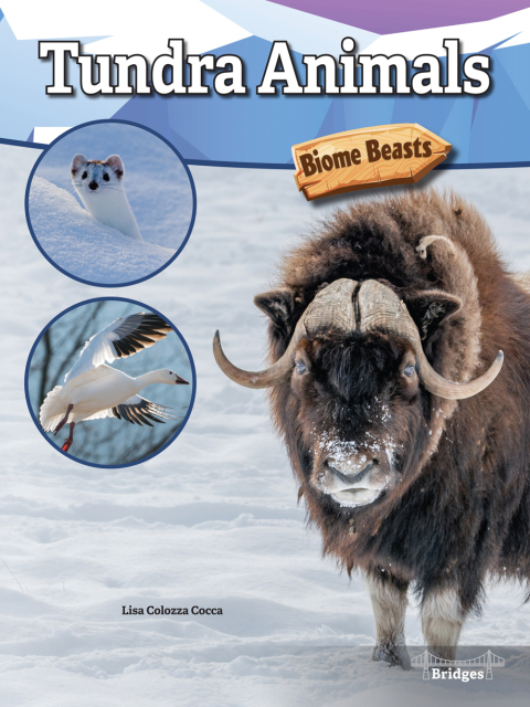 Cover image for book Tundra Animals
