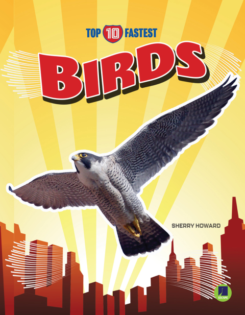 Cover image for book Birds