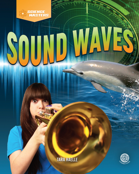 Cover image for book Sound Waves