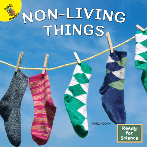 Cover image for book Non-Living Things