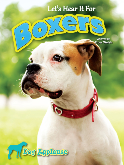 Cover image for book Let's Hear It For Boxers