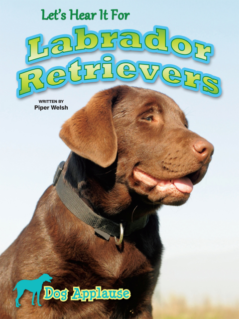 Cover image for book Let's Hear It For Labrador Retrievers