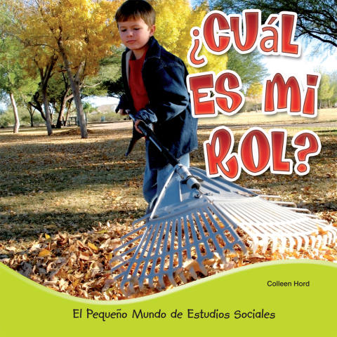 Cover image for book ¿Cuál es mi rol?