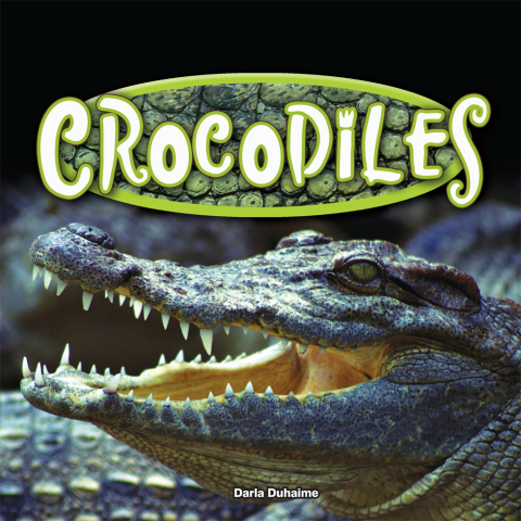 Cover image for book Crocodiles