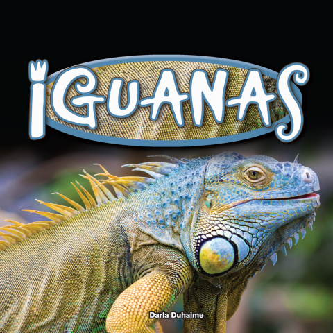 Cover image for book Iguanas
