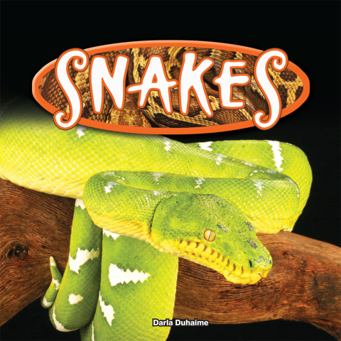 Cover image for book Snakes