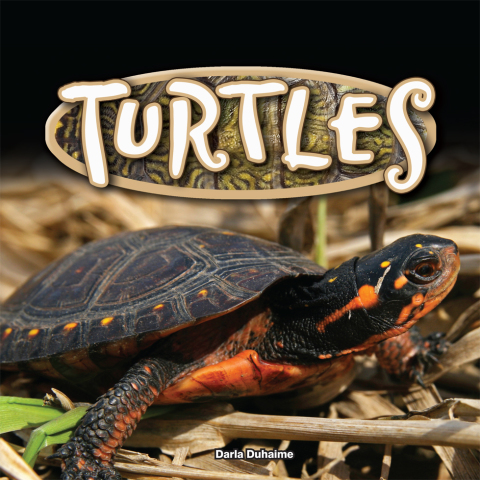 Cover image for book Turtles