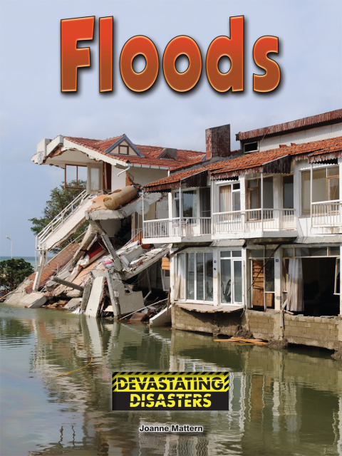 Cover image for book Floods