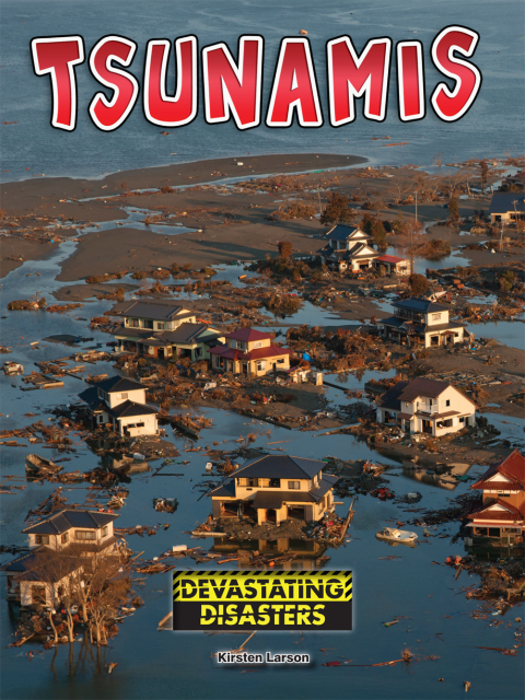 Cover image for book Tsunamis