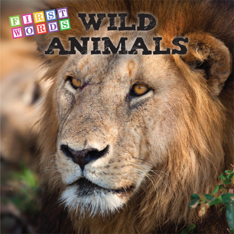 Cover image for book WILD ANIMALS