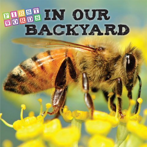 Cover image for book In Our Backyard