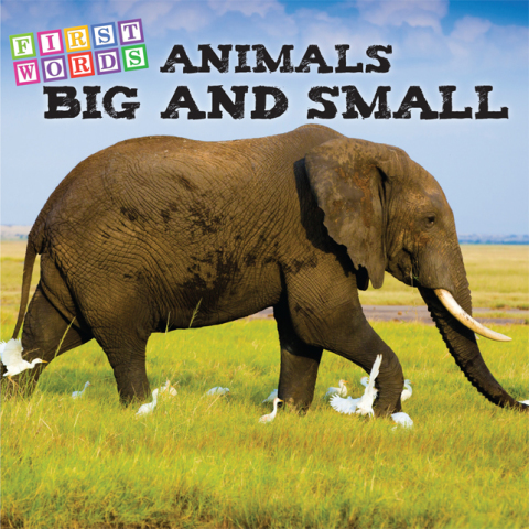 Cover image for book Animals Big and Small