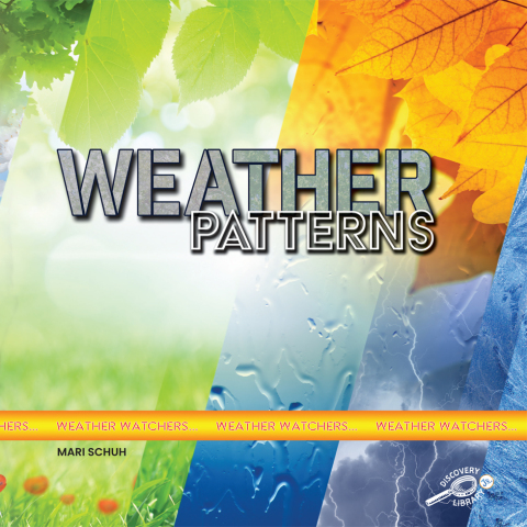 Cover image for book Weather Patterns