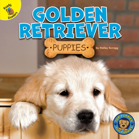 Cover image for book Golden Retriever Puppies