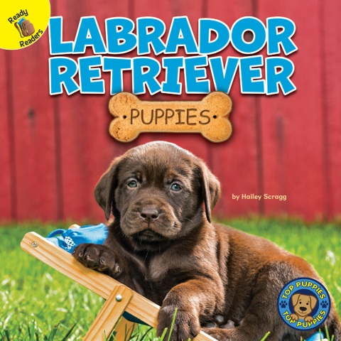 Cover image for book Labrador Retriever Puppies