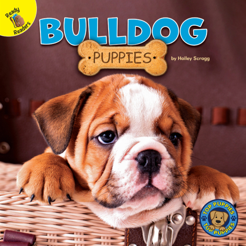 Cover image for book Bulldog Puppies