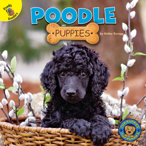 Cover image for book Poodle Puppies