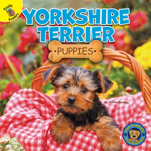 Cover image for book Yorkshire Terrier Puppies