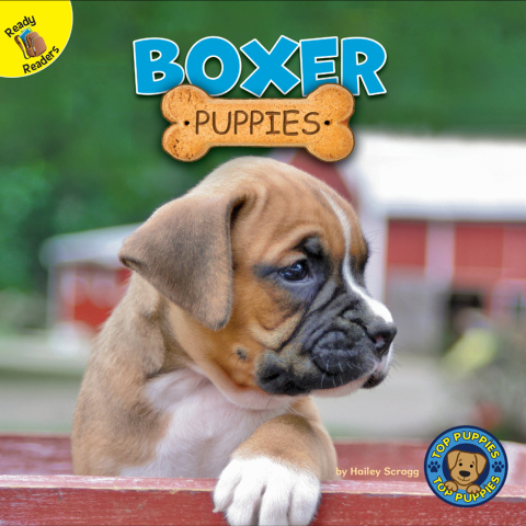 Cover image for book Boxer Puppies