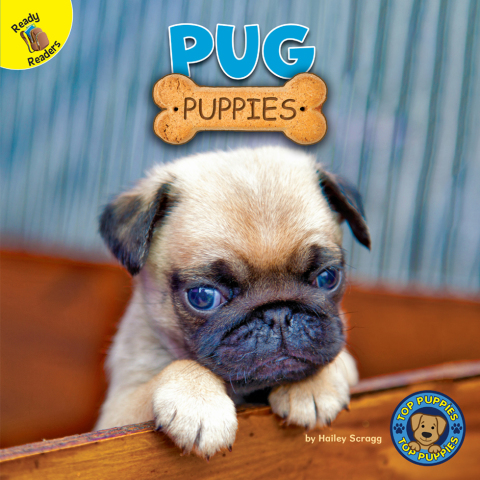 Cover image for book Pug Puppies