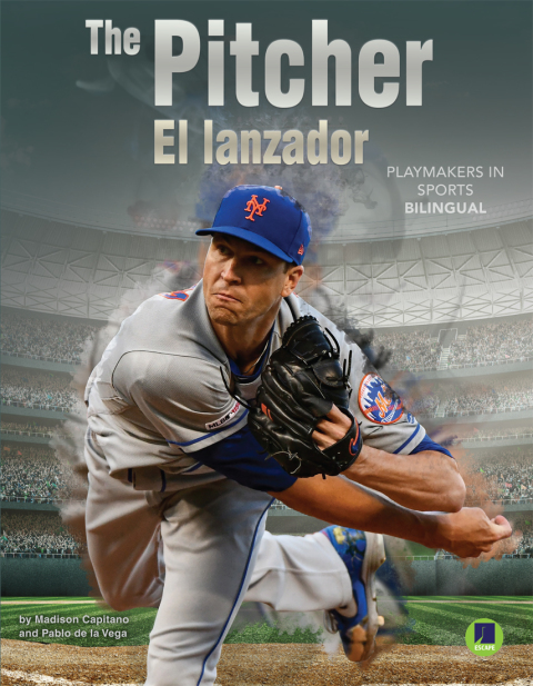 Cover image for book The Pitcher