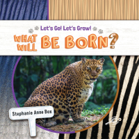 Cover image: What Will Be Born? 9781731652225