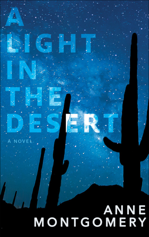 Cover image for book A Light in the Desert