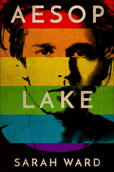 Cover image for book Aesop Lake