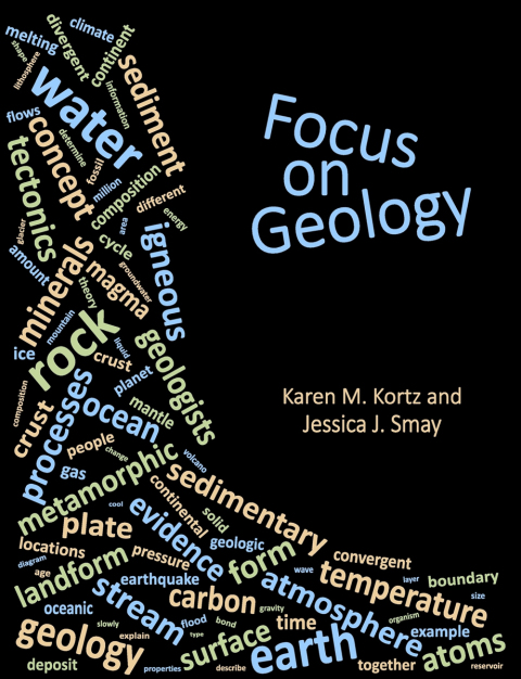 Cover image for book Focus on Geology